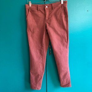Market & Spruce brown skinny pant - petite